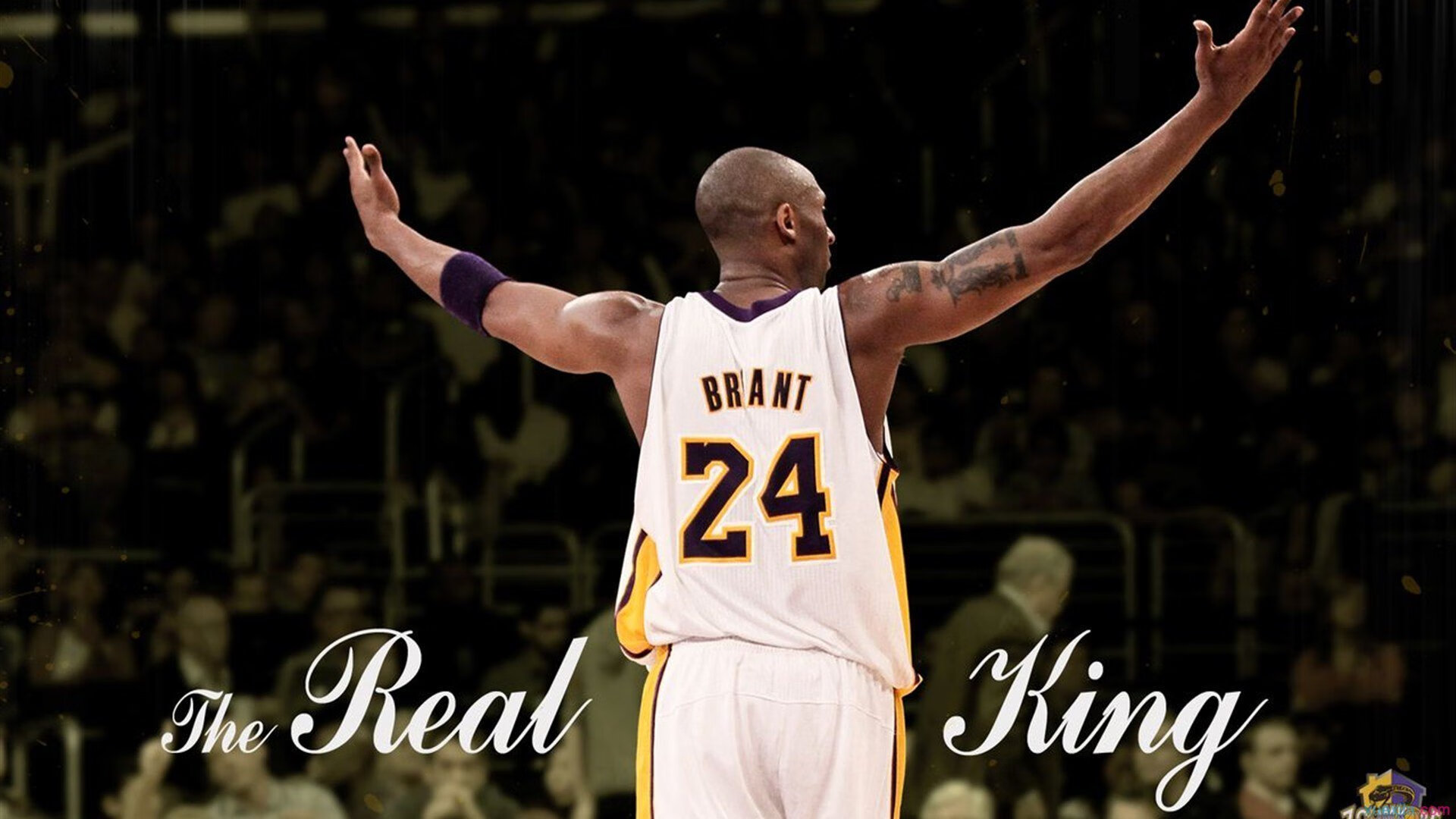 世界排名争夺战焦点战，德国战车全面压制，北欧海盗黯然失色